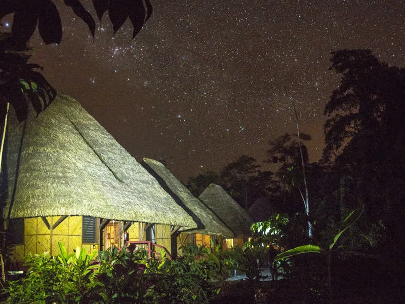 Night skies in the Amazon