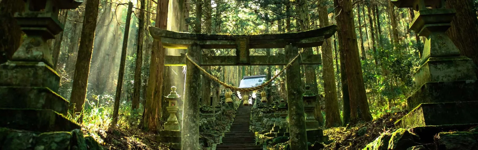 tori-gates,-kamishikimi-kumano-imasu-shrine,-kyushu[1]