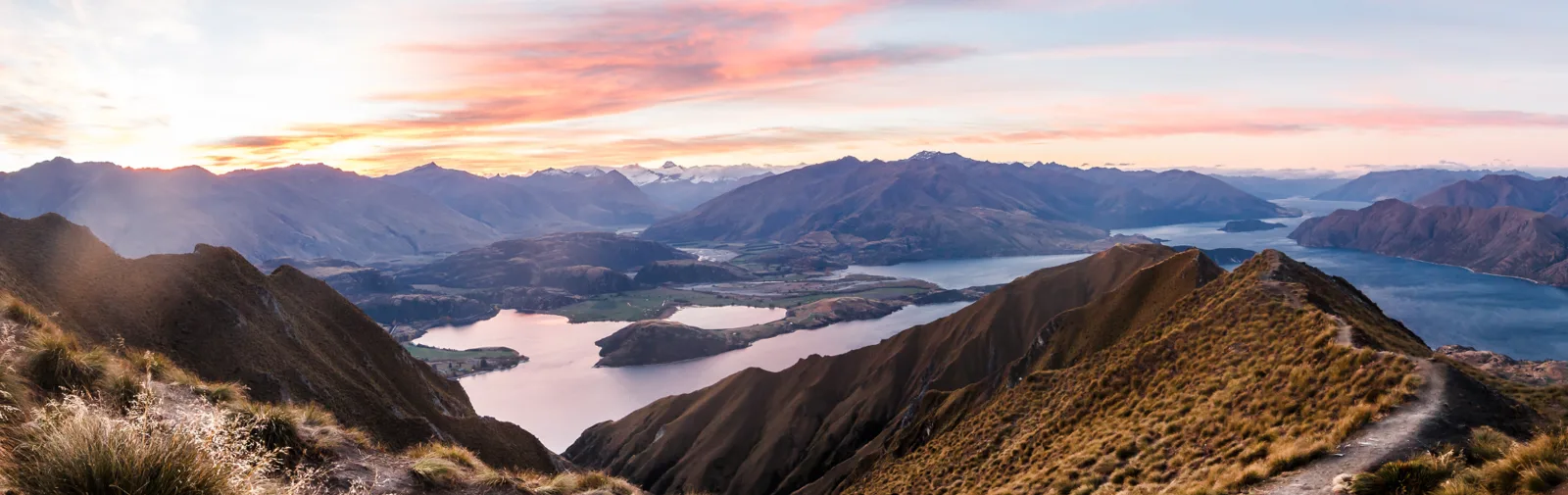 nzl[1]