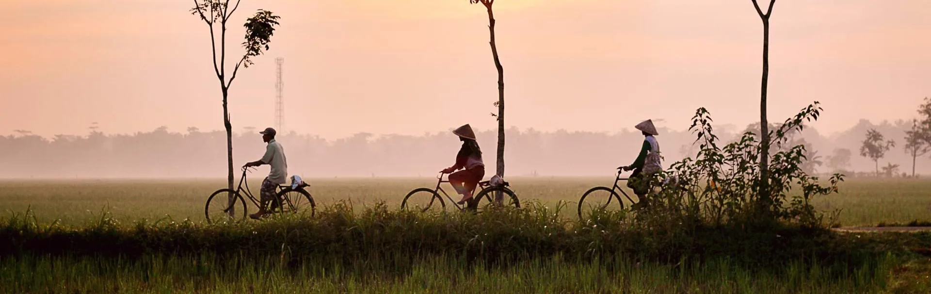 asia_-dikaseva-8o4w9lzv6eo-unsplash_edit[1]