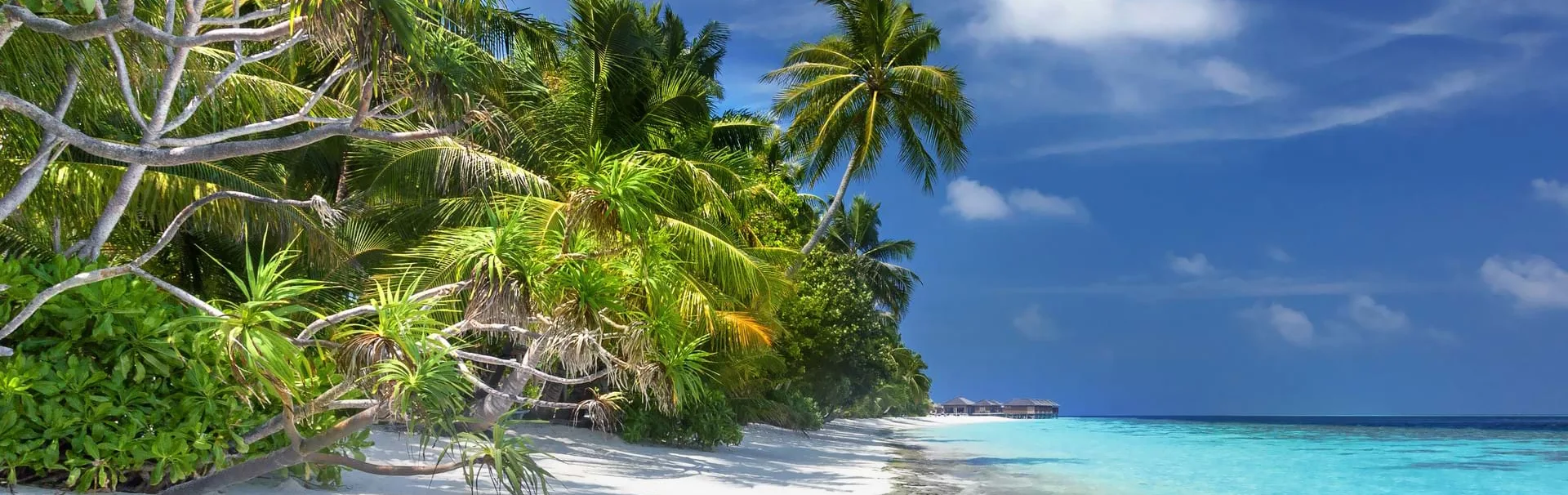 maldives-beach[1]