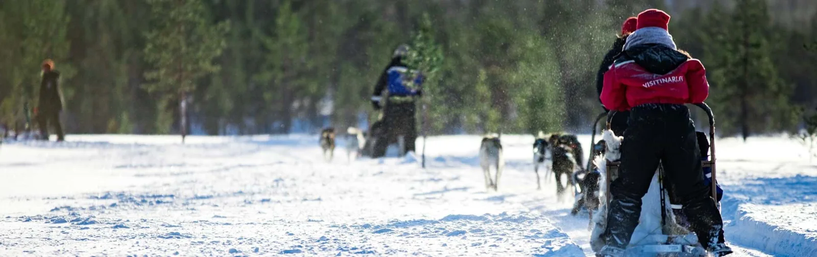 dogsledding-in-inari[1]