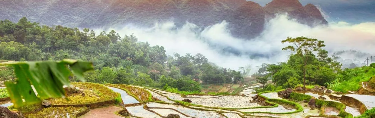 Rice terraces at Pu Luong
