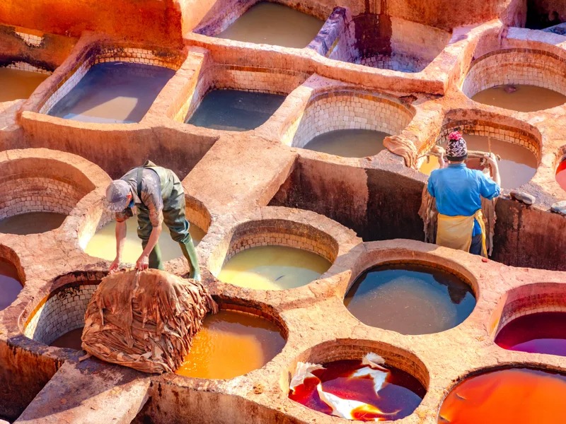 Fes tannery workers