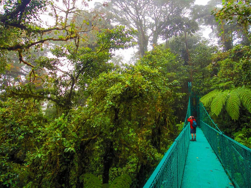 Hanging Bridges