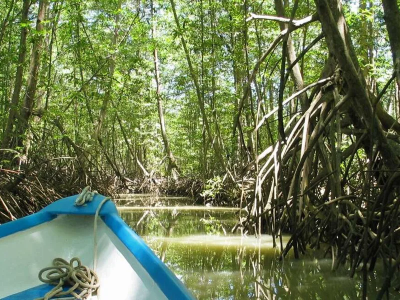 Exploring Corcovado National Park