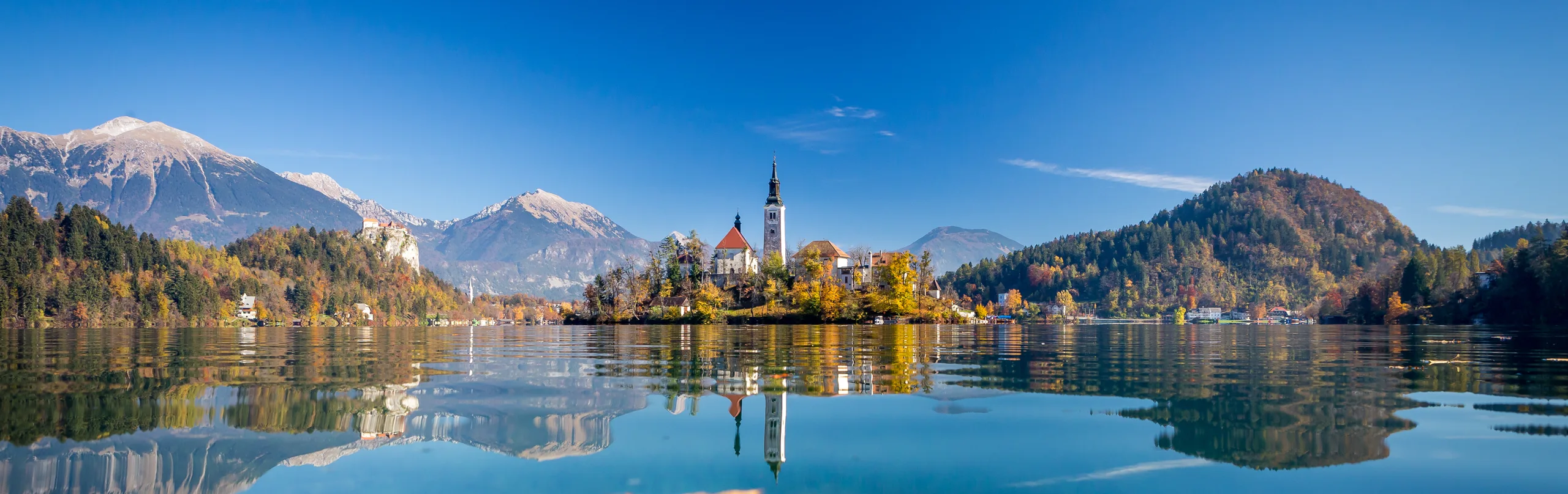 shutterstock_401648041