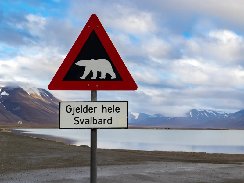 Polar Bear sign