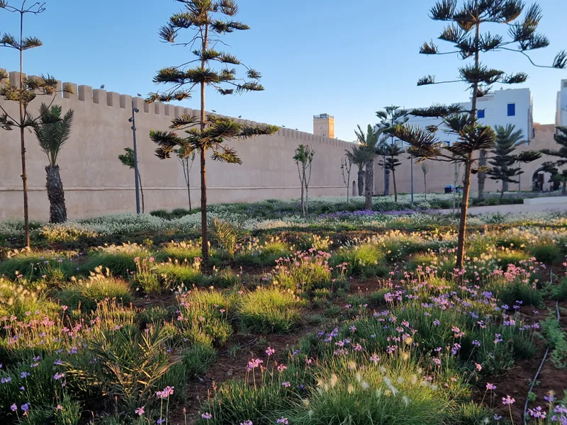 Essaouira