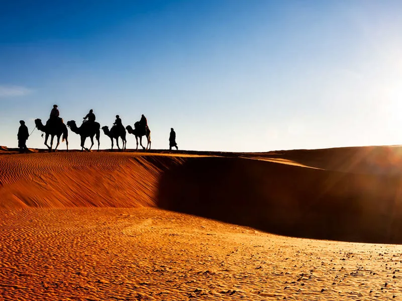 Erg Chebbi camel ride