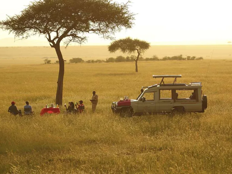 Boma dinner on the plains of the Maasai Mara
