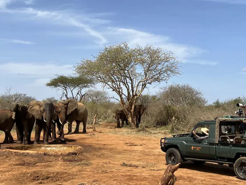Kipalo Hills Mbulia conservancy waterhole