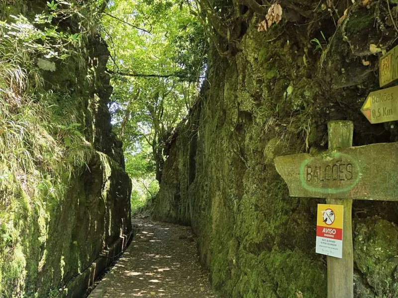 Levada walk to Ribeiro Frio