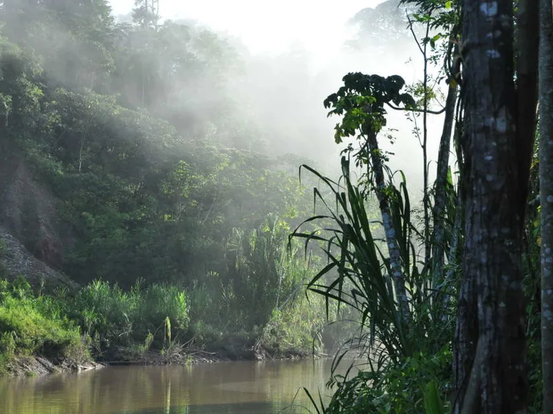 Tambopata River