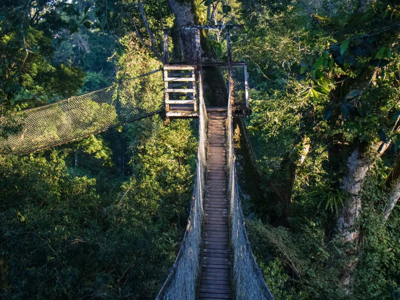Inkaterra Canopy Walkway