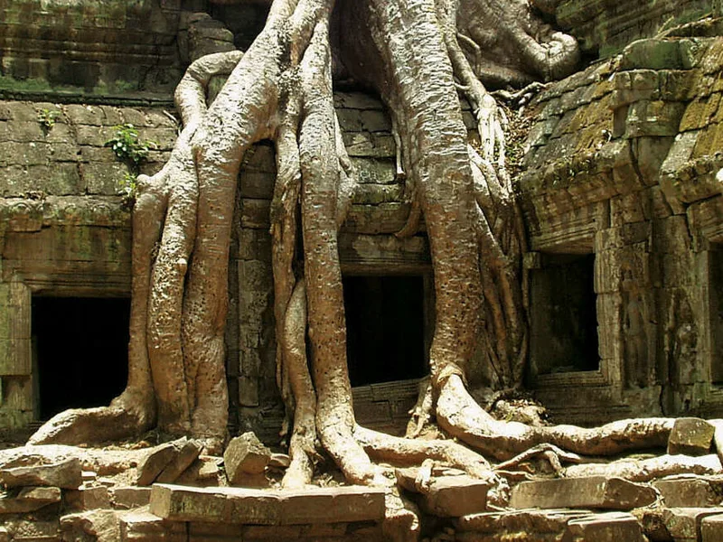Temple in Cambodia