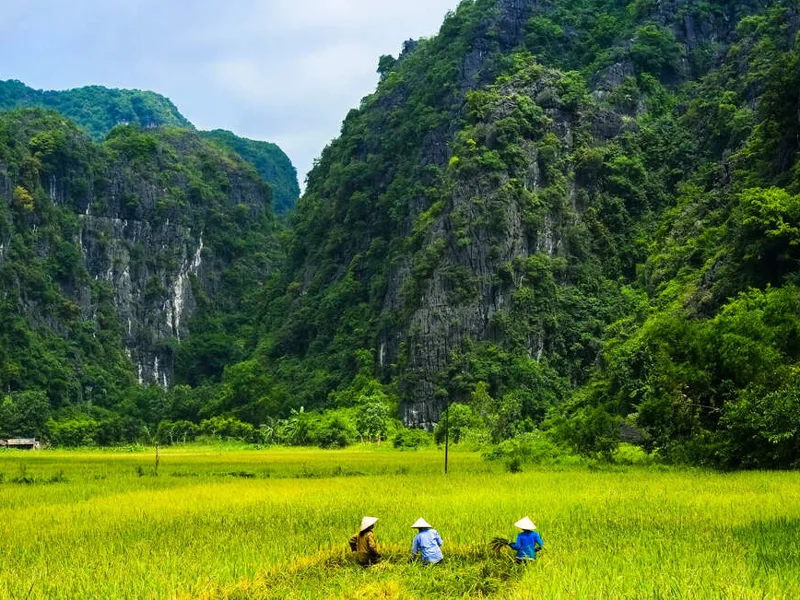 Vietnamese farmers
