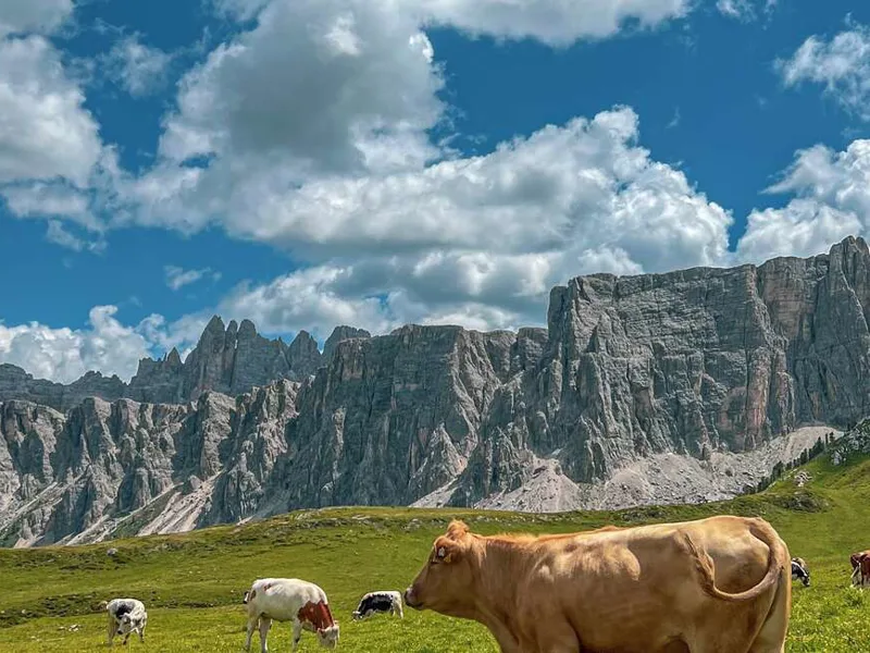 Dolomites