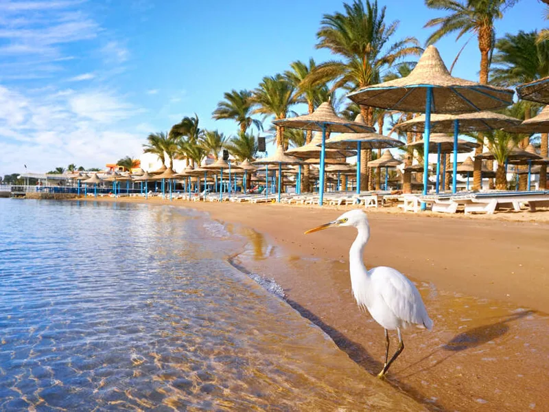Hurghada beach
