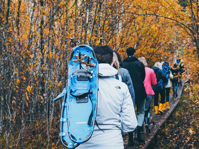 Bog walking