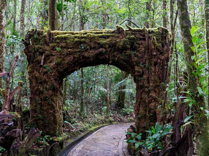 Kinabalu Botanical Gardens