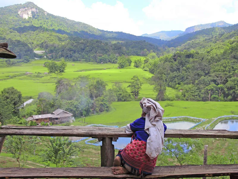 Thai countryside