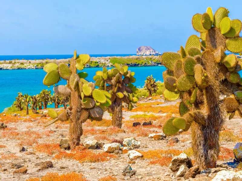 Galapagos scenery