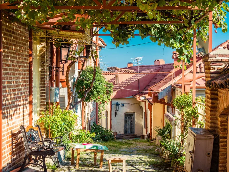 Telavi