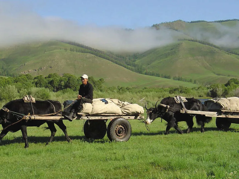 Nomad with horse and cart