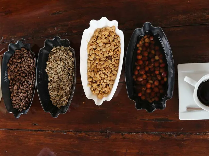 Blue Mountain coffee tasting