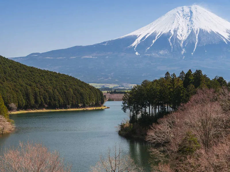 Lake Tanuki