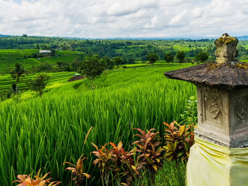 Rural Indonesia