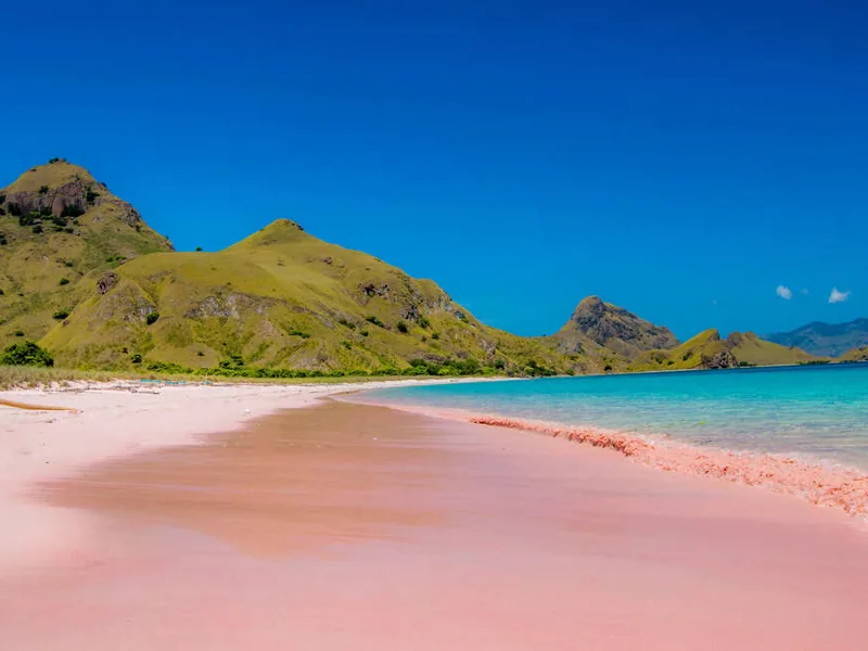 Pink beach