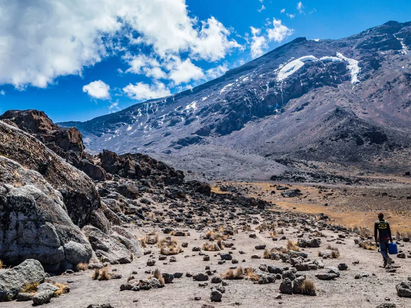 Kilimanjaro view