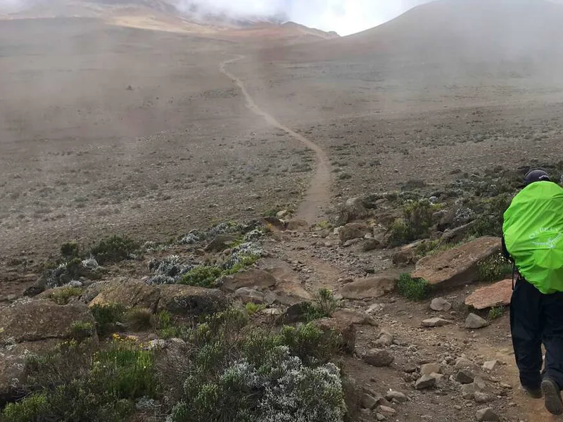 Rongai Trek Kilimanjaro