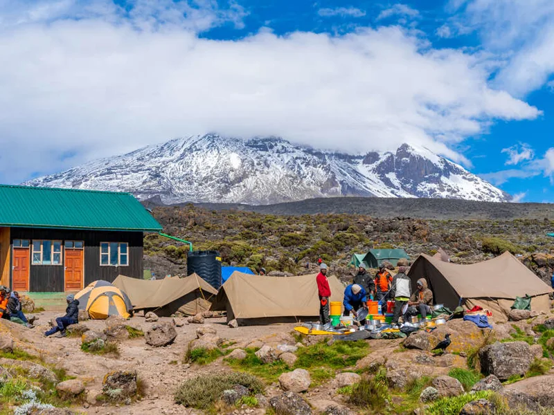 Kilimanjaro Rongai Camp