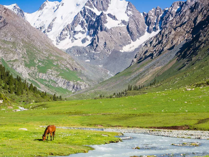 Snow-capped peaks of Tien Shen Mountains