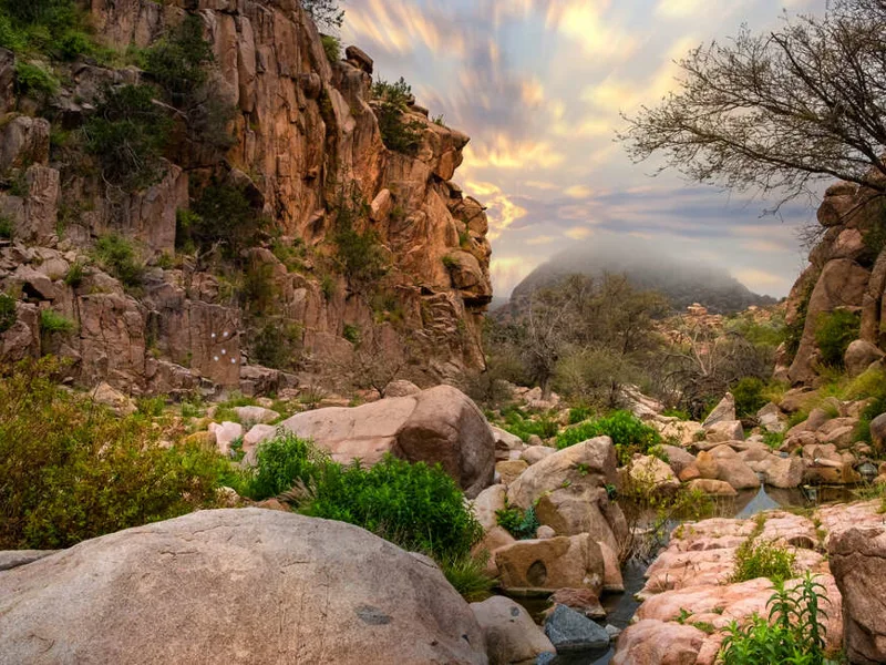 The beautiful surroundings of Taif
