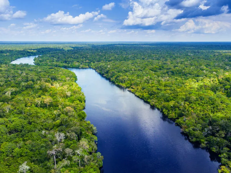 Looking over the Amazon