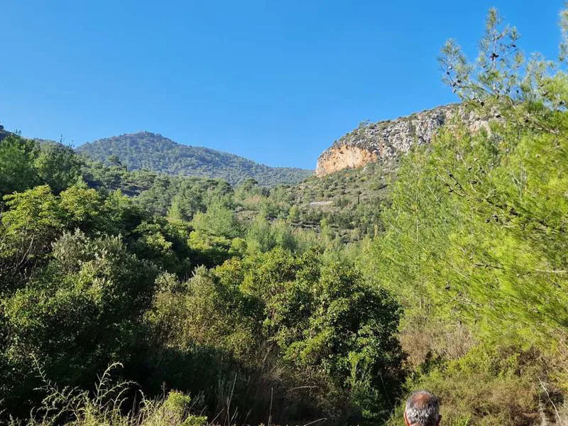 Northern Cyprus forest path