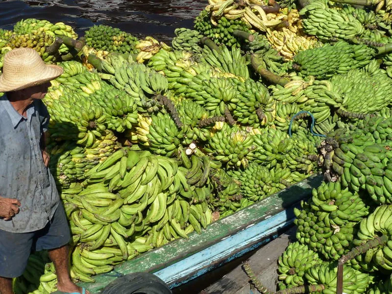 Banana delivery in Manaus