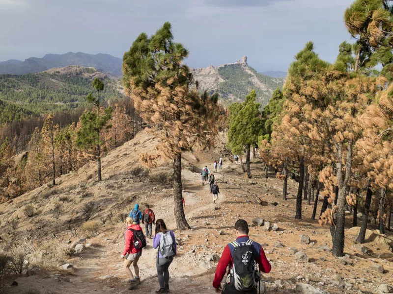 Walking in Gran Canaria
