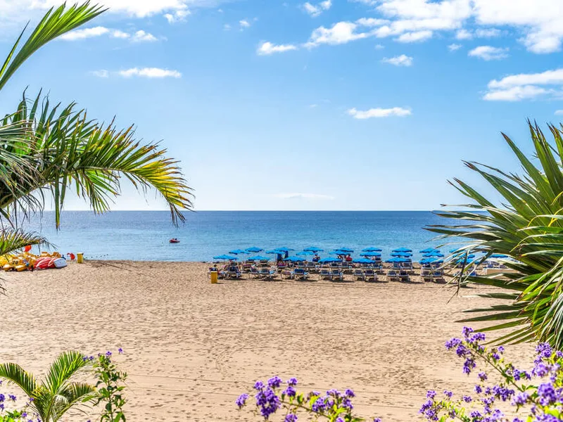 Landscape with Puerto del Carmen beach