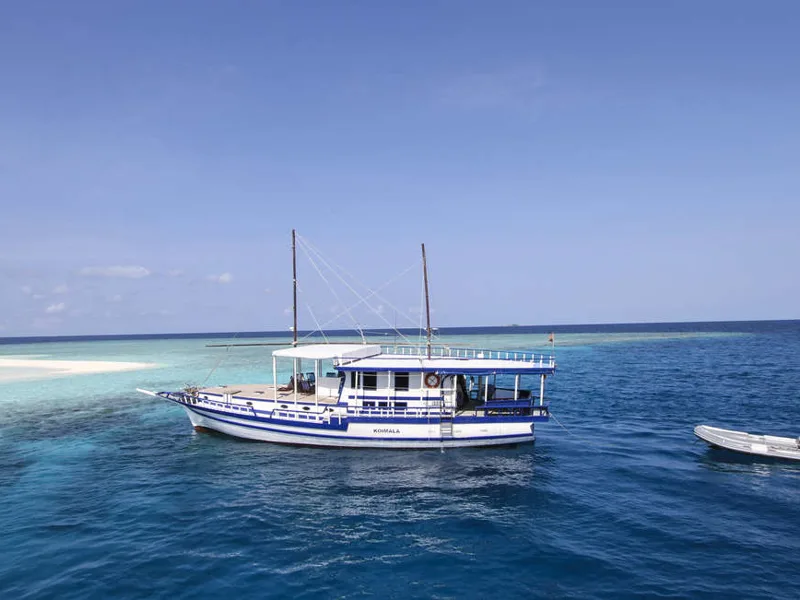 Traditional Dhoni boat