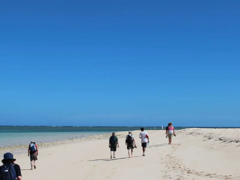 Tropical beaches