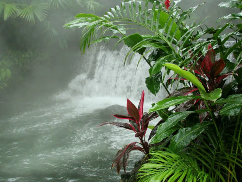 Hot springs in Arenal