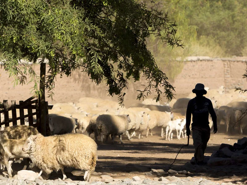 Rural farm country