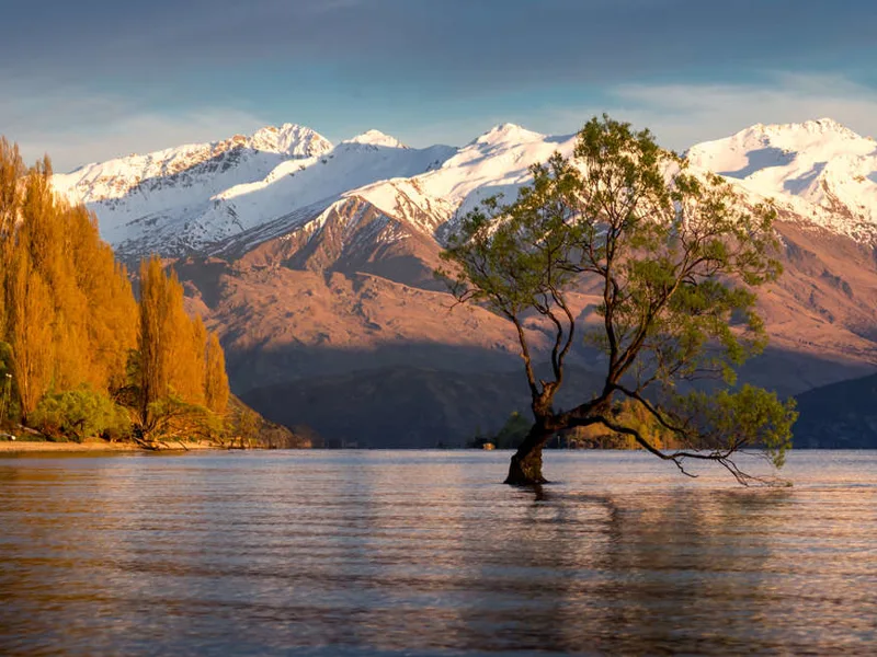 Lake Wanaka