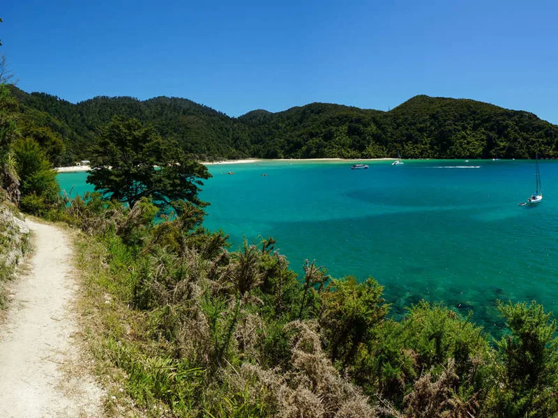 Walking trail at Abel Tasman National Park