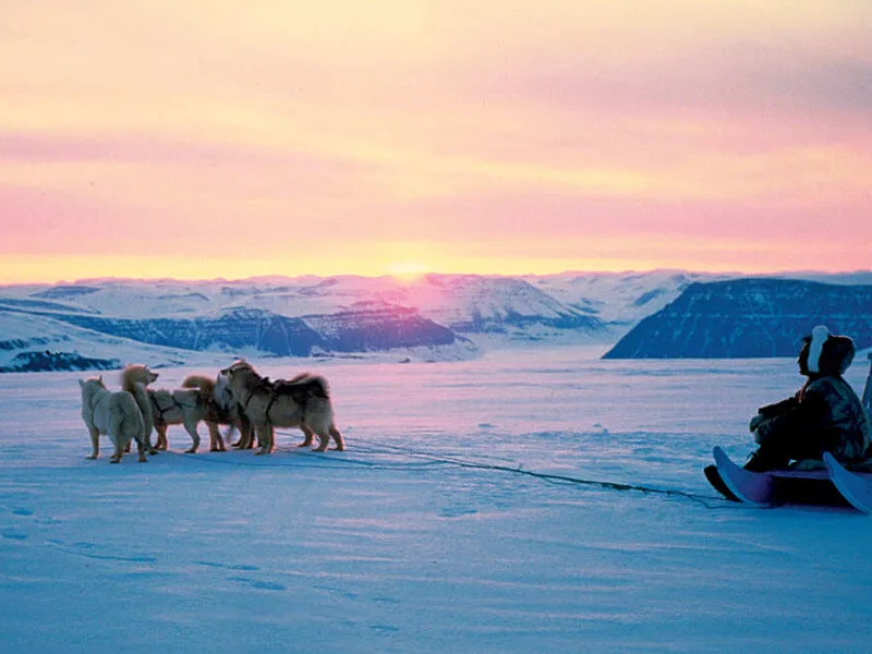 Huskies, Greenland